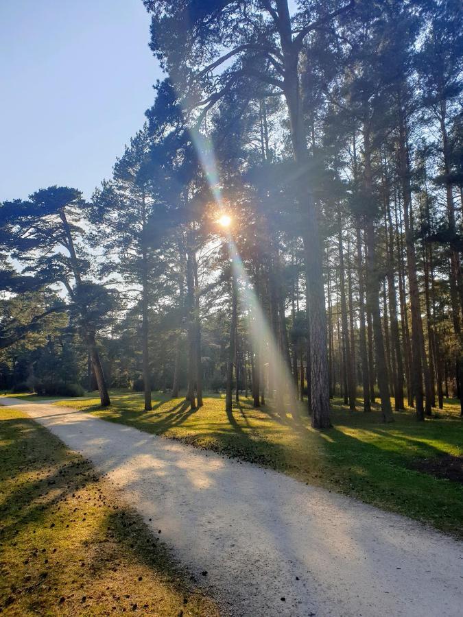 Palanga Apartments Near Baltic Sea Екстериор снимка